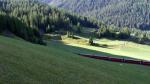 Albula 2