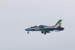 Frecce Tricolori 18