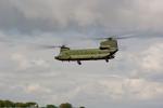 Chinook