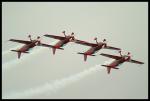 Jordanian Falcons