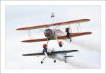 Wingwalker (10)