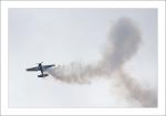 Yak 55 (1)