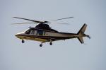 Bell Agusta