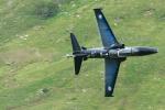 Hawk im Mach Loop