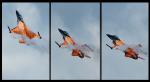 F16 Holland