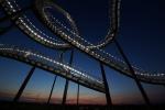 Tiger&Turtle