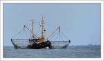 Der Kabbenfischer vor Sylt