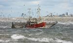 Fischkutter vor Norderney
