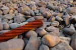 Rost am Abend 7