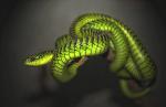 Green Mamba