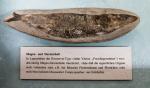 Mageninhalt eines Fisches