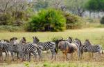 Nyerere Nationalpark