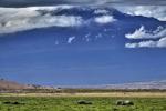 Amboseli