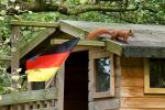 Schland-Hörnchen 2