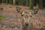 Tierpark Pforzheim