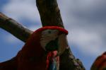 Heute im Vogelpark