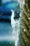 Splash