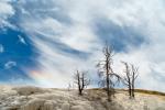 Mammoth Hot Springs 2