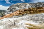 Mammoth Hot Springs 8