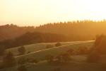 Landschaft im Odenwald (5)