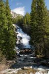 (125)	Hidden Fall beim Jenny Lake