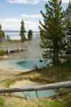 (151)	West Thumb Geyser Basin