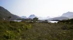 Lofoten Sommer