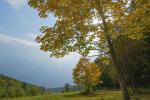 herbstlandschaft an der Isar