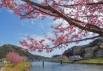 vorfrühling in japan