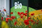 Klatschmohn beim Supermarkt