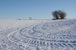 Winterlandschaft bei Apelern 2