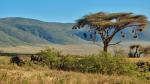 Ngorongoro 004