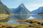 Milford Sound