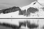 Winterlandschaft_sw