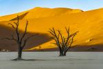 Deadvlei