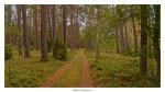Nationalpark Bory Tucholskie