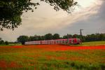 Mohn plus Bahn