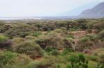 Rift valley