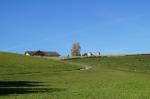 Wanderung durch die grüne Steiermark!