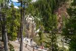 Grand Canyon of the Yellowstone 5