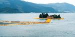 Floating Piers