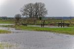 Fluss Narew beim Kloster Skit Swietych