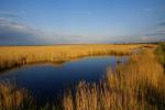 Neusiedlersee