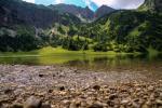 Ufer am Bergsee