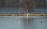 Reservebecken Alfhausen mit Gästen