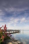 Am Neuenburgersee III