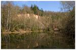 kleiner Waldsee