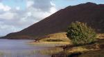 Connemara 2 - Abends am Lough Corrib