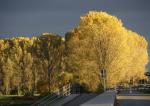 Herbstblick nach Süd