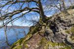 Frühjahr am Laacher See